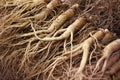 Ginseng Extract